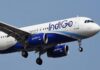 Indigo flight