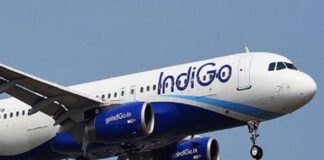 Indigo flight