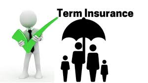 term insurance policy